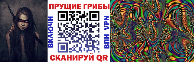 Галлюциногенные грибы Psilocybine cubensis  Унеча 