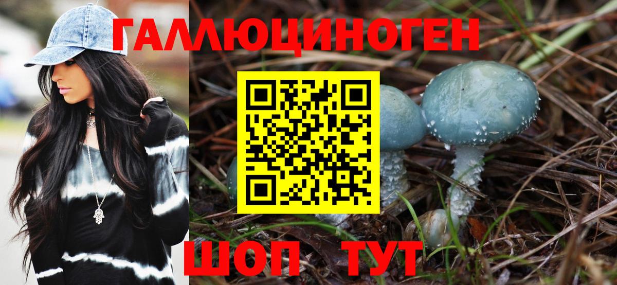 Галлюциногенные грибы GOLDEN TEACHER Унеча