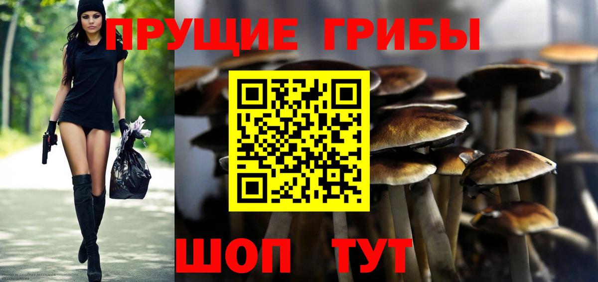 Галлюциногенные грибы MAGIC MUSHROOMS  Вход с VPN  Унеча 